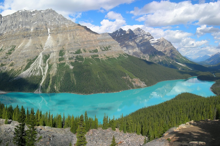 Canada : Partir à l'international