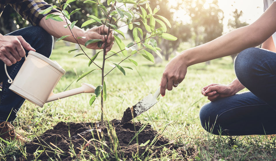 Inclure le développement durable